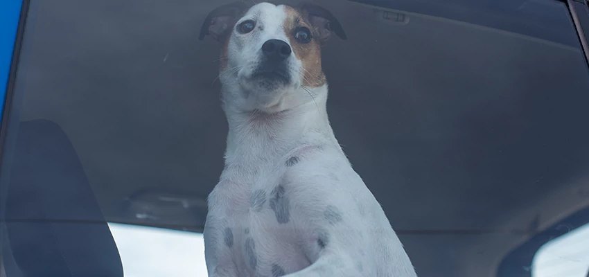 Car Lockout Solutions in Marina del Rey, California