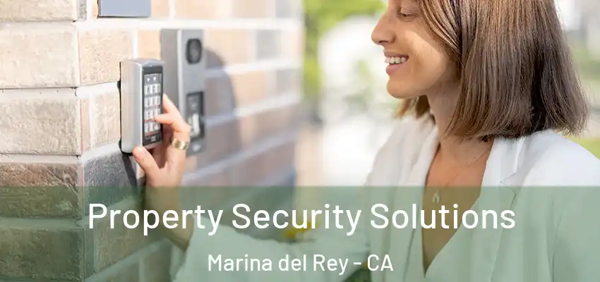  Property Security Solutions Marina del Rey - CA